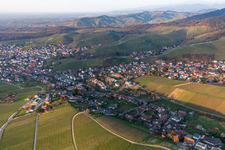 Vue aérienne de Vignobles et caves à Fessenbach à le quartier Zell in Offenburg dans le département Bade-Wurtemberg, Allemagne