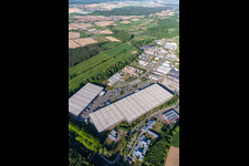 Vue aérienne de Zone industrielle et implantation d'entreprise à Horst avec Friedrich random GmbH & Co. KG Internationale Spedition à le quartier Minderslachen in Kandel dans le département Rhénanie-Palatinat, Allemagne