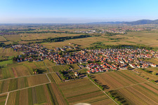 Vue aérienne de Vue du nord à Kirrweiler dans le département Rhénanie-Palatinat, Allemagne