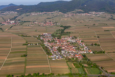 Vue aérienne de Champs agricoles et surfaces utilisables à Roschbach dans le département Rhénanie-Palatinat, Allemagne