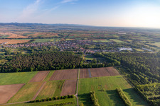Quartier Schaidt in Wörth am Rhein dans le département Rhénanie-Palatinat, Allemagne d'un drone