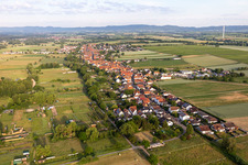 Vue aérienne de Champs agricoles et surfaces utilisables à Freckenfeld dans le département Rhénanie-Palatinat, Allemagne