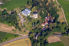 Vue aérienne de Palais Weinstrasse 89A à le quartier Pleisweiler in Bad Bergzabern dans le département Rhénanie-Palatinat, Allemagne