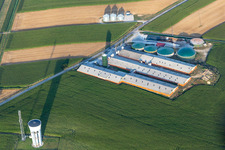 Vue oblique de Wintzenbach dans le département Bas Rhin, France