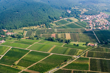 Vue d'oiseau de Gleisweiler dans le département Rhénanie-Palatinat, Allemagne