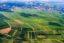 Vue aérienne de Vignoble entre Frankweiler et Godramstein à le quartier Godramstein in Landau in der Pfalz dans le département Rhénanie-Palatinat, Allemagne