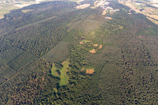 Vue aérienne de Bienwald, Lautertal à Schweighofen dans le département Rhénanie-Palatinat, Allemagne