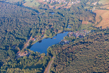 Vue aérienne de Étang du moulin de Saarbach à Ludwigswinkel dans le département Rhénanie-Palatinat, Allemagne