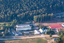 Vue aérienne de Parc d'activités Petersbächel à le quartier Petersbächel in Fischbach bei Dahn dans le département Rhénanie-Palatinat, Allemagne