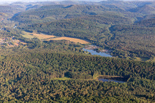 Vue aérienne de Camping Pfälzerwoog et Zwickmühle au Mühlweiher Saarbach à Fischbach bei Dahn dans le département Rhénanie-Palatinat, Allemagne