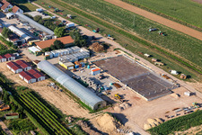 Vue aérienne de Kugelmann légumes biologiques nouvelle construction du hall de production à Kandel dans le département Rhénanie-Palatinat, Allemagne