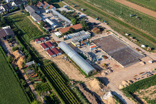 Photographie aérienne de Kugelmann légumes biologiques nouvelle construction du hall de production à Kandel dans le département Rhénanie-Palatinat, Allemagne