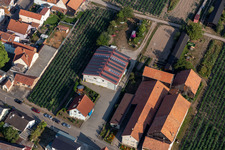 Vue aérienne de Asperges Franz Ohmer à Rheinzabern dans le département Rhénanie-Palatinat, Allemagne