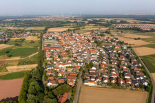 Vue aérienne de Vue depuis l'est à Neupotz dans le département Rhénanie-Palatinat, Allemagne