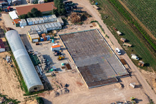 Kugelmann Biogemüse nouveau hall de production à Kandel dans le département Rhénanie-Palatinat, Allemagne vue d'en haut