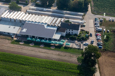 Vue aérienne de Zapf Hofmarkt à Kandel dans le département Rhénanie-Palatinat, Allemagne