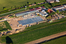 Kugelmann Biogemüse Nouveau hall de production à Kandel dans le département Rhénanie-Palatinat, Allemagne vue du ciel