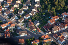 Vue aérienne de Pâtes Pâtes à Rheinzabern dans le département Rhénanie-Palatinat, Allemagne