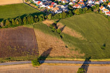 Vue aérienne de Dommages secs dans le champ de maïs à Leimersheim dans le département Rhénanie-Palatinat, Allemagne