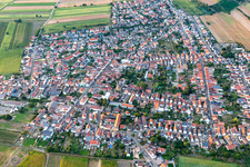 Quartier Mechtersheim in Römerberg dans le département Rhénanie-Palatinat, Allemagne du point de vue du drone