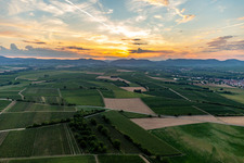 Vue aérienne de Coucher de soleil au Haardtrand à le quartier Ingenheim in Billigheim-Ingenheim dans le département Rhénanie-Palatinat, Allemagne