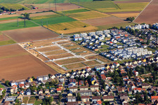 Nouvelle zone de développement "Mitten im Feld" et Odenwaldstr à Heddesheim dans le département Bade-Wurtemberg, Allemagne vue d'en haut