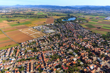 Nouvelle zone de développement "Mitten im Feld" et Odenwaldstr à Heddesheim dans le département Bade-Wurtemberg, Allemagne vu d'un drone