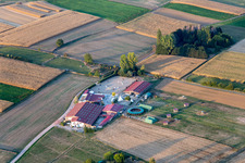Vue aérienne de Écuries d'élevage Élevage de chevaux Écurie Du Lac à Retschwiller dans le département Bas Rhin, France