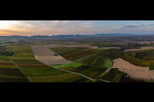 Vue aérienne de Vue aérienne panoramique d'automne de Klingbachtal entre des champs colorés d'automne devant le Haardtrand au coucher du soleil à Billigheim-Ingenheim à Niederhorbach dans le département Rhénanie-Palatinat, Allemagne