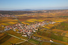 Vue aérienne de Vue sur la végétation automnale décolorée des vignes autour du village vigneron à le quartier Herxheim in Herxheim am Berg dans le département Rhénanie-Palatinat, Allemagne