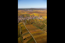 Vue aérienne de Vignobles sur le Haardtrand à Weisenheim am Berg dans le département Rhénanie-Palatinat, Allemagne