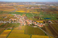 Vue aérienne de Superficie du terrain de golf Golfgarten Deutsche Weinstraße - Dackenheim - GOLF absolu à Dackenheim dans le département Rhénanie-Palatinat, Allemagne