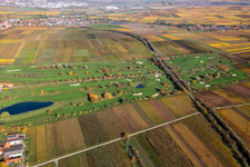 Vue aérienne de Golf Garden Route des vins allemande à Dackenheim dans le département Rhénanie-Palatinat, Allemagne