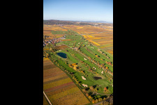 Photographie aérienne de Superficie du terrain de golf Golfgarten Deutsche Weinstraße - Dackenheim - GOLF absolu à Dackenheim dans le département Rhénanie-Palatinat, Allemagne