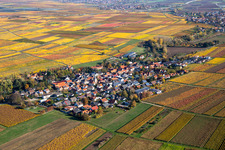 Vue aérienne de Vue de la végétation automnale décolorée Bissersheim à Bissersheim dans le département Rhénanie-Palatinat, Allemagne