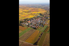 Photographie aérienne de Vue de la végétation automnale décolorée Bissersheim à Bissersheim dans le département Rhénanie-Palatinat, Allemagne