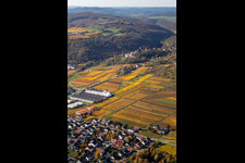 Vue aérienne de Neuleiningen dans le département Rhénanie-Palatinat, Allemagne