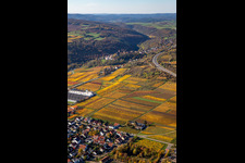 Photographie aérienne de Vignobles décolorés automnaux entre Sausenheim et Neuleiningen à Neuleiningen dans le département Rhénanie-Palatinat, Allemagne