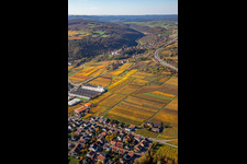 Vue oblique de Neuleiningen dans le département Rhénanie-Palatinat, Allemagne