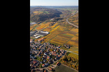 Vue oblique de Vignobles décolorés automnaux entre Sausenheim et Neuleiningen à Neuleiningen dans le département Rhénanie-Palatinat, Allemagne