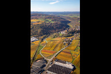 Neuleiningen dans le département Rhénanie-Palatinat, Allemagne depuis l'avion