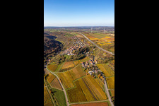 Vue oblique de Vue sur la végétation automnale décolorée en lisière des vignes et des domaines viticoles de la région viticole à Neuleiningen dans le département Rhénanie-Palatinat, Allemagne