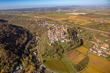 Vue aérienne de Vignobles automnaux autour du château et de la ville Neuleiningen/Pfal à Neuleiningen dans le département Rhénanie-Palatinat, Allemagne