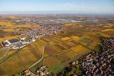 Vue aérienne de Village - Vue à le quartier Sausenheim in Grünstadt dans le département Rhénanie-Palatinat, Allemagne