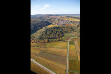 Vue aérienne de Végétation décolorée automnale vue paysage viticole des zones viticoles (Palatinat) à Battenberg dans le département Rhénanie-Palatinat, Allemagne