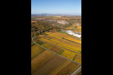 Vue aérienne de Kleinkarlbach dans le département Rhénanie-Palatinat, Allemagne