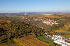 Vue aérienne de Vignobles décolorés d'automne au-dessus des halls de production de Gechem GmbH & Co. KG à Neuleiningen dans le département Rhénanie-Palatinat, Allemagne