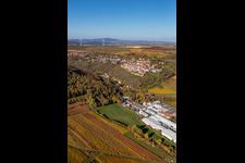Photographie aérienne de Vignobles décolorés d'automne au-dessus des halls de production de Gechem GmbH & Co. KG à Neuleiningen dans le département Rhénanie-Palatinat, Allemagne