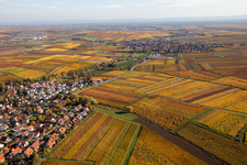 Vue aérienne de Vignobles décolorés automnaux entre Kleinkarlbach et Kirchheim an der Weinstraße à le quartier Jerusalemsberg in Kirchheim an der Weinstraße dans le département Rhénanie-Palatinat, Allemagne