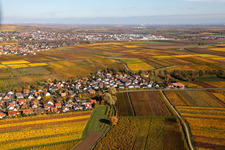 Kleinkarlbach dans le département Rhénanie-Palatinat, Allemagne vue d'en haut
